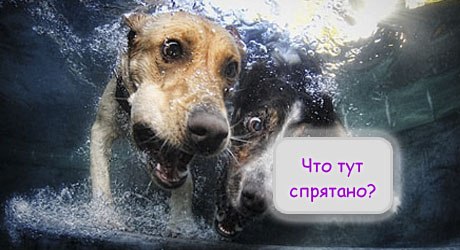 м.о.н.с.т.р.х.а.й - новая песня монстр хай