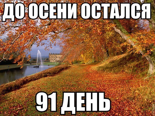 Алкоголик это я - Ритм дорог(песня про Лёшу,Никиту,Сашу,Настю,Настю,Алёну,Ксюшу,Наташу,Крис,Полинку)